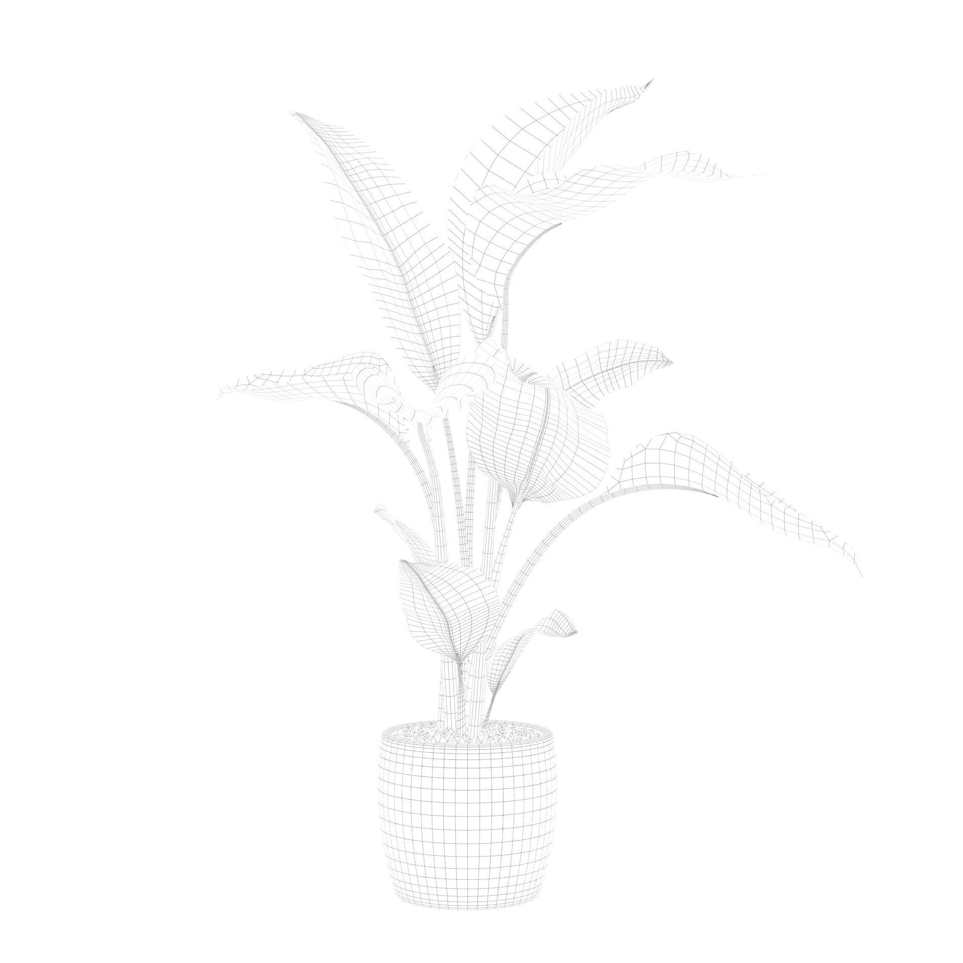 Strelitzia in terrazio pot 3D model_81