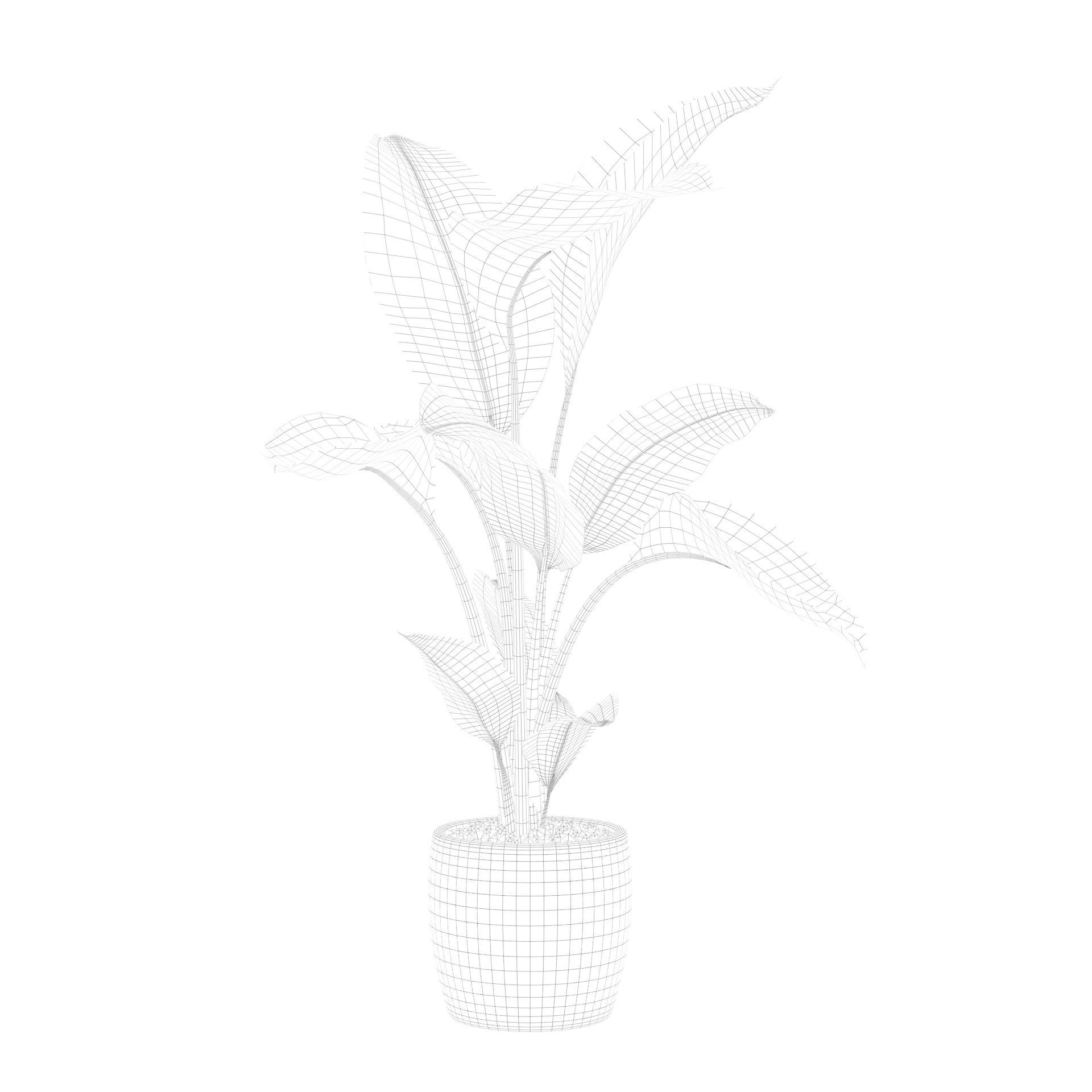 Strelitzia in terrazio pot 3D model_60