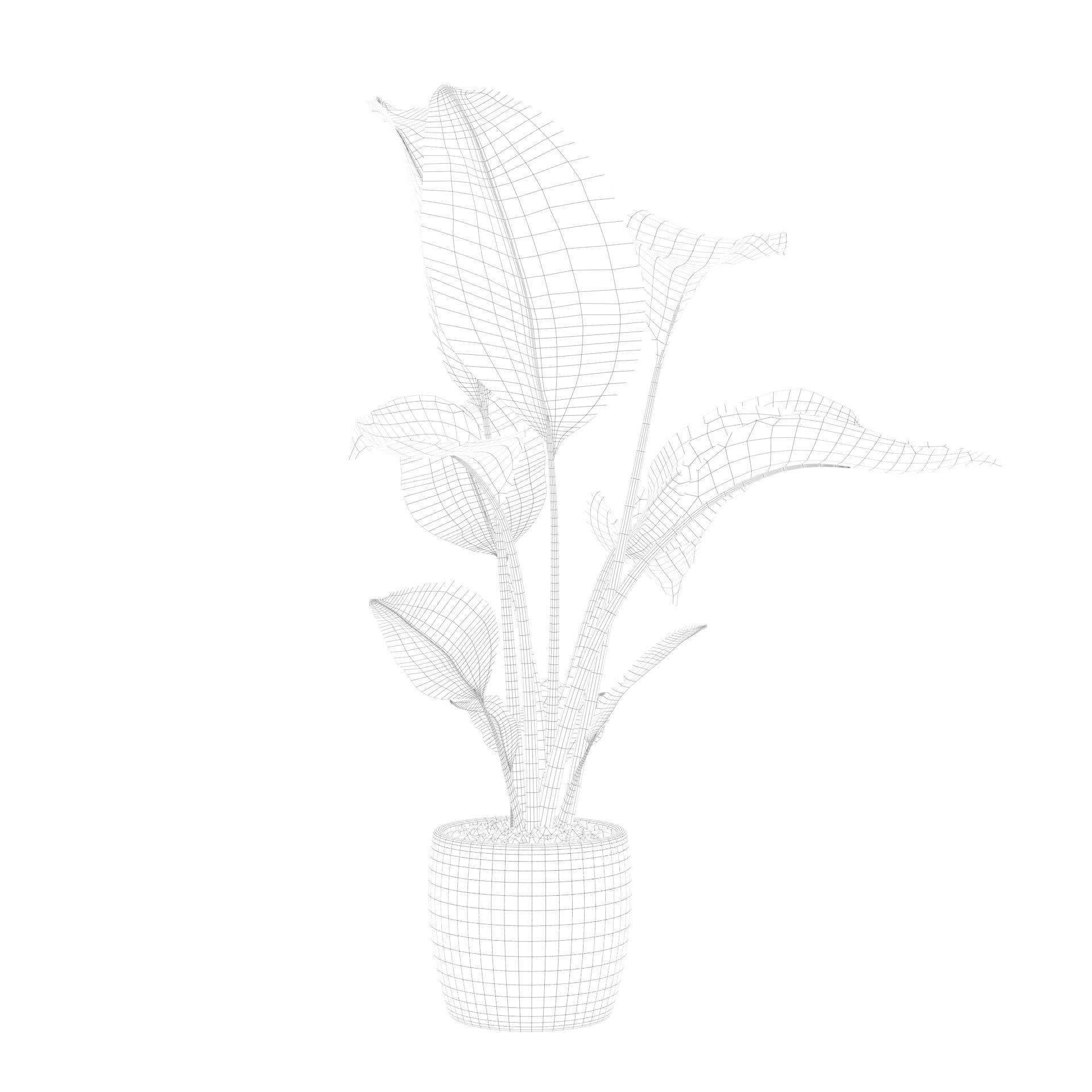 Strelitzia in terrazio pot 3D model_83