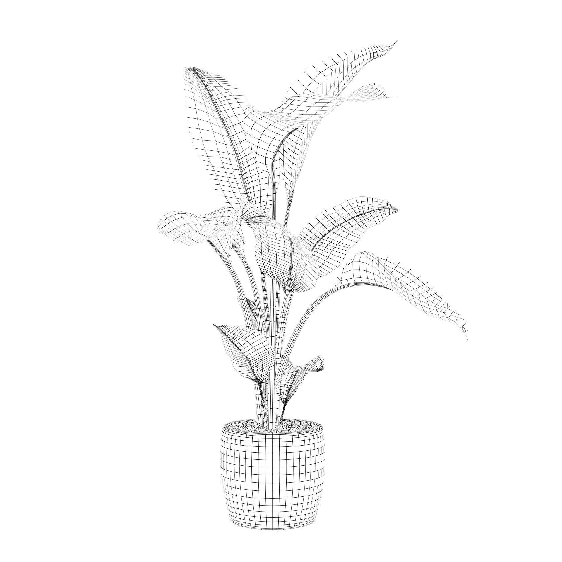 Strelitzia in terrazio pot 3D model_35