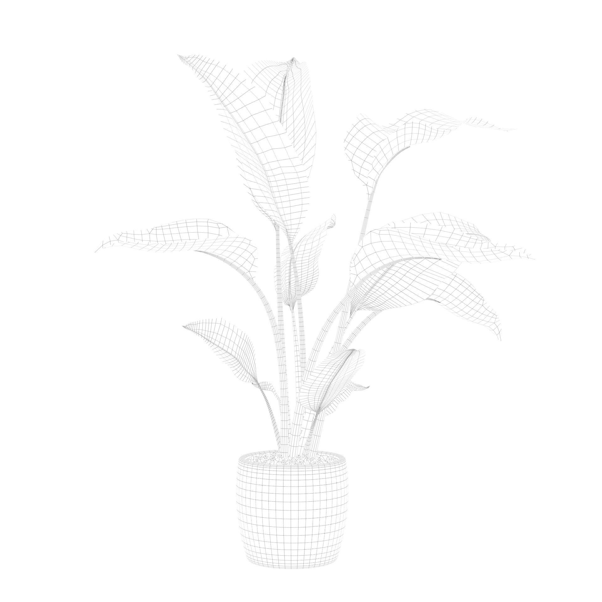 Strelitzia in terrazio pot 3D model_70