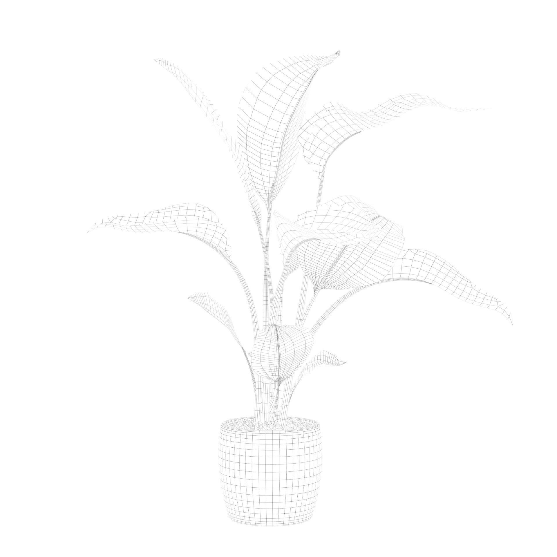Strelitzia in terrazio pot 3D model_75