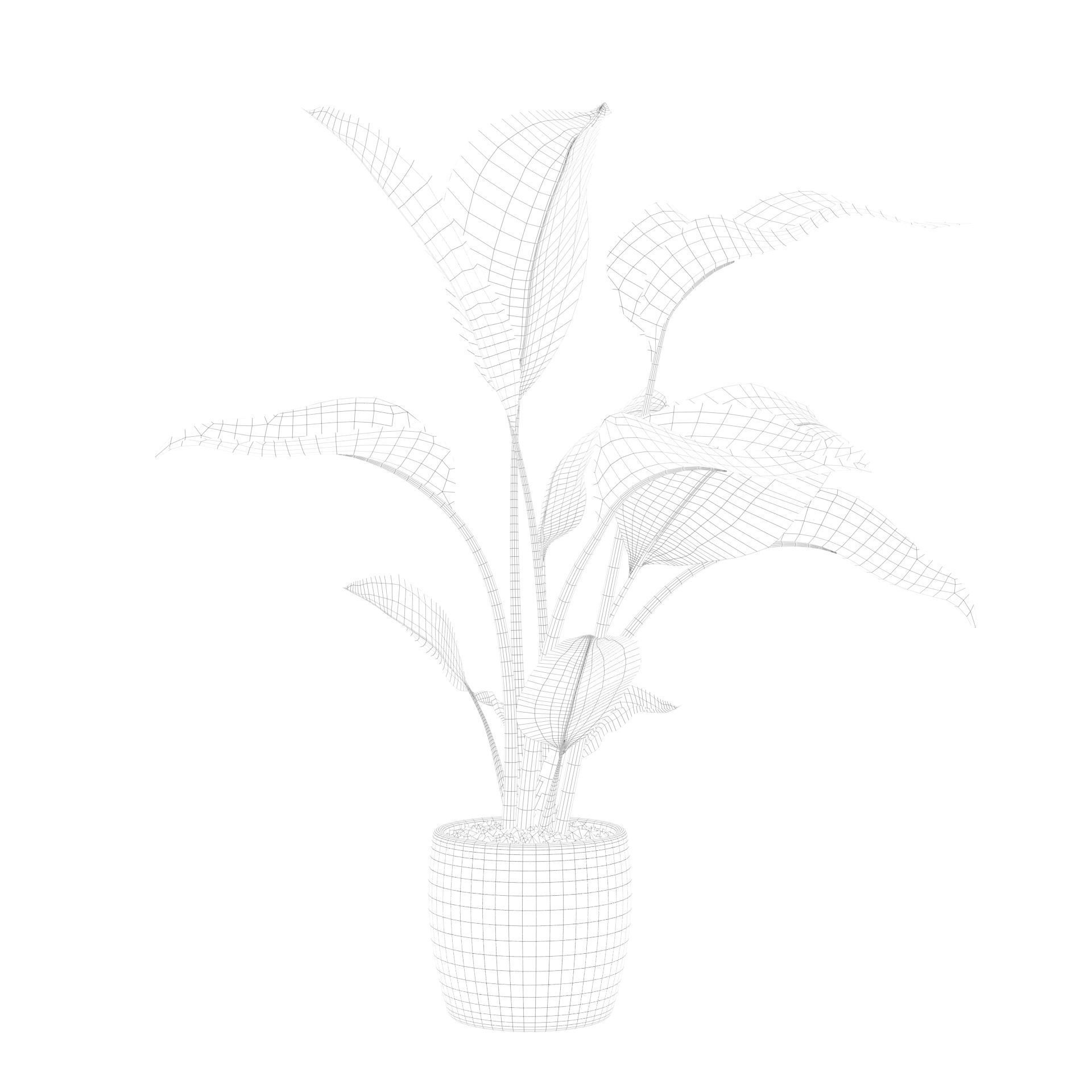 Strelitzia in terrazio pot 3D model_67