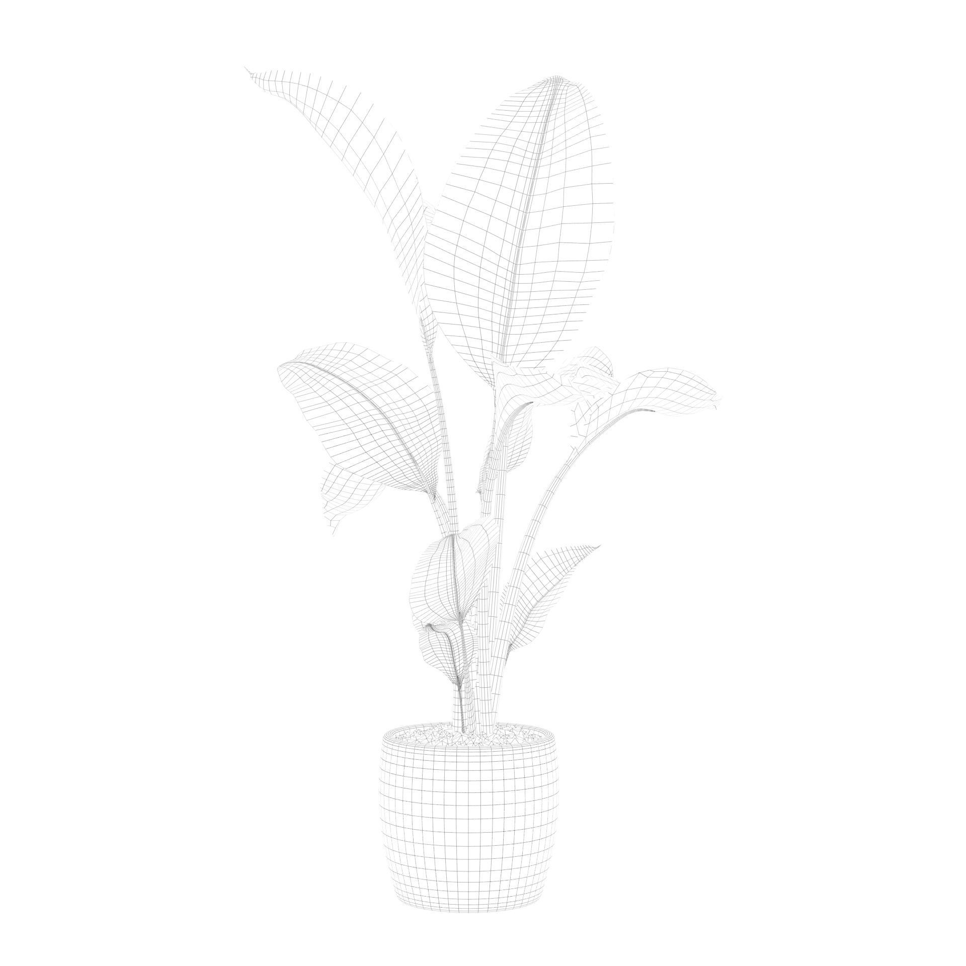 Strelitzia in terrazio pot 3D model_79