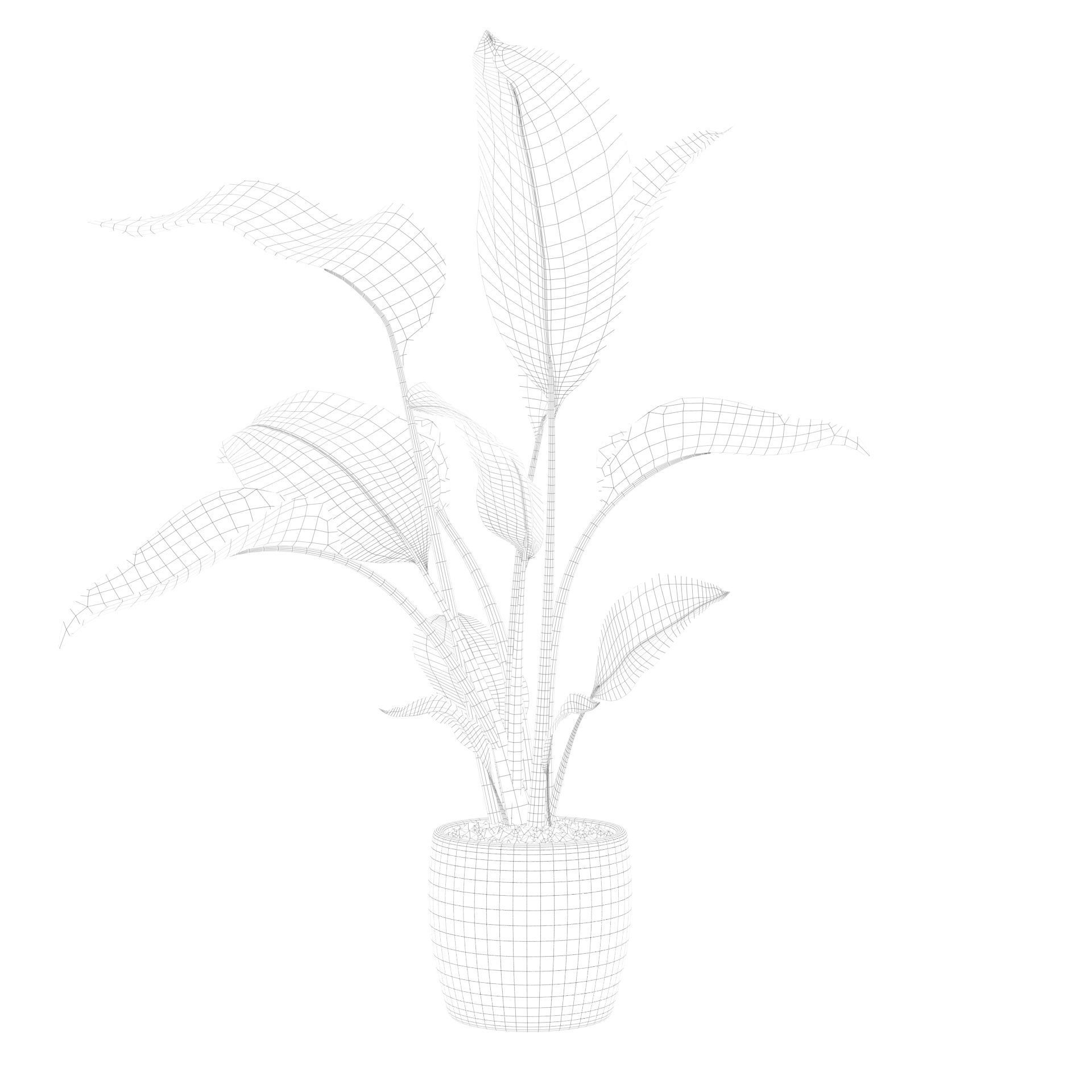 Strelitzia in terrazio pot 3D model_82