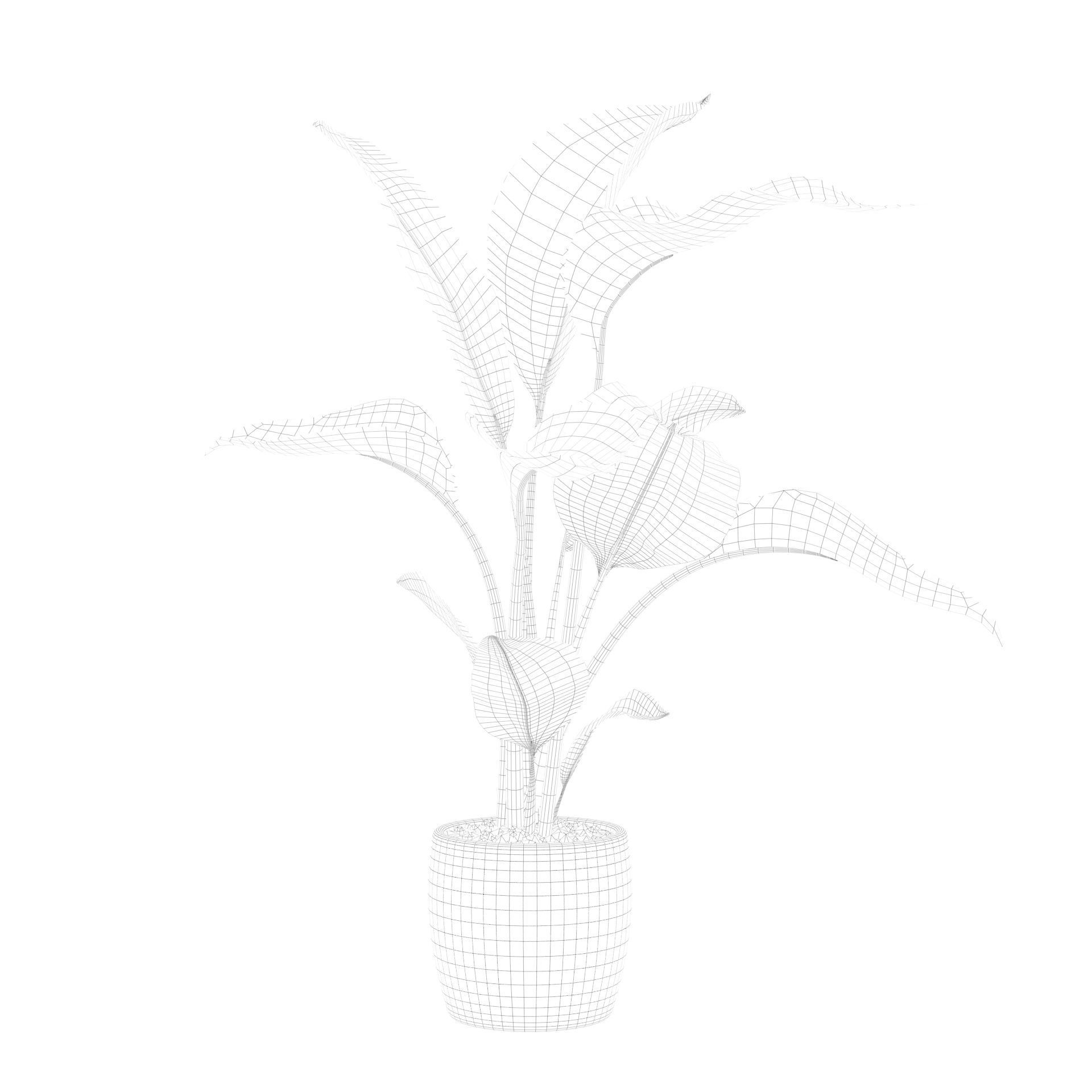 Strelitzia in terrazio pot 3D model_69