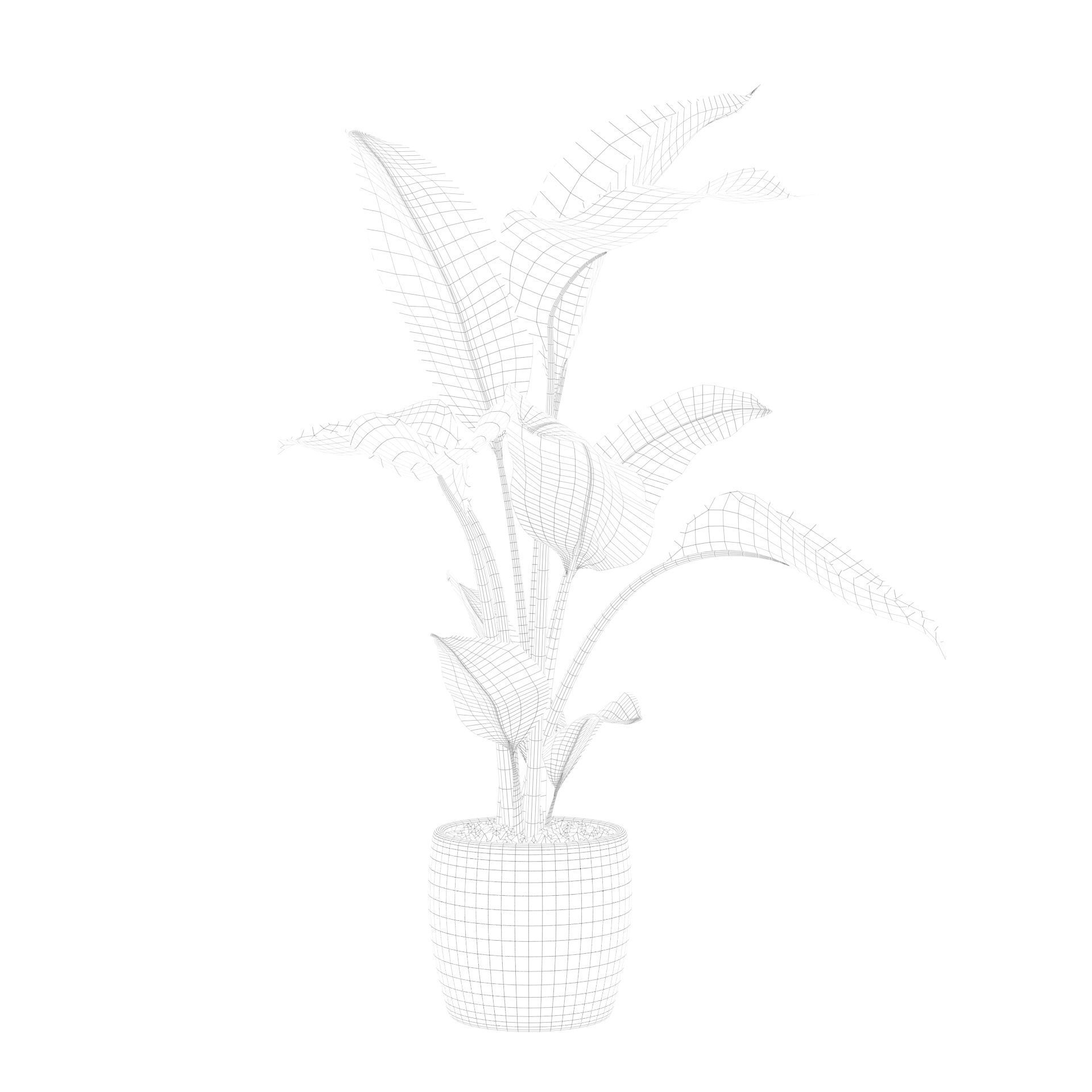 Strelitzia in terrazio pot 3D model_84