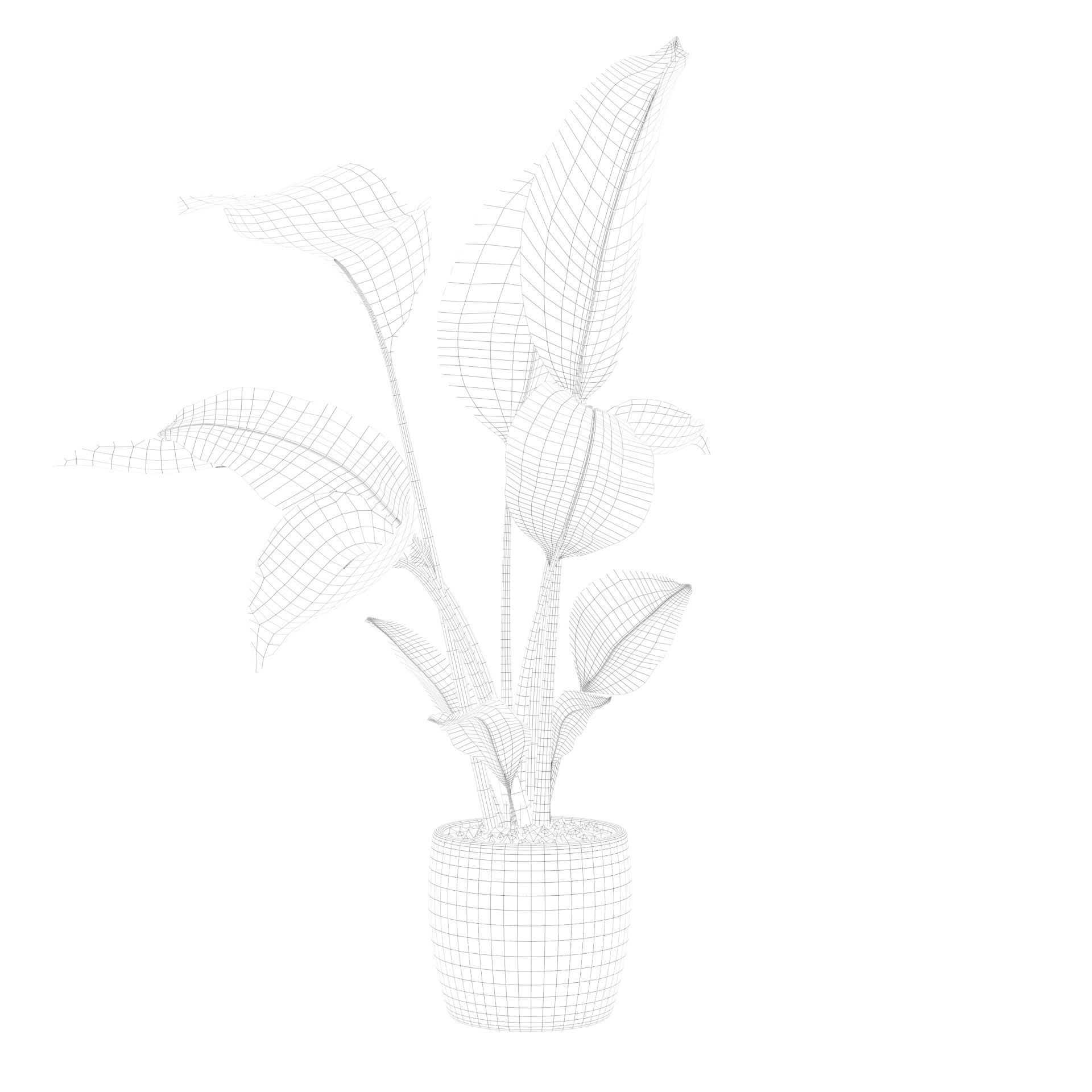 Strelitzia in terrazio pot 3D model_77