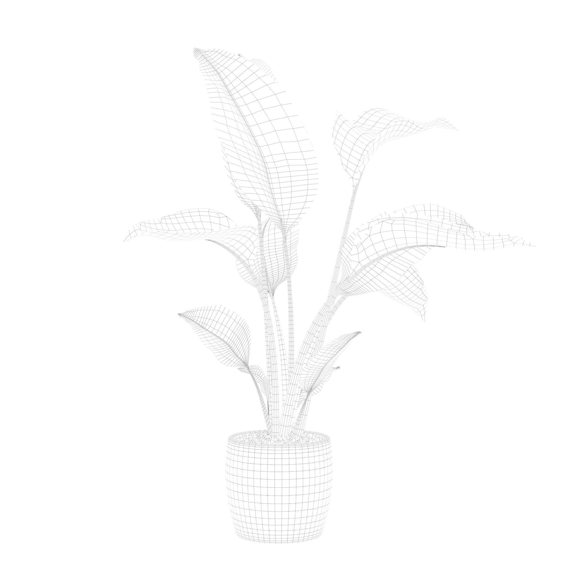 Strelitzia in terrazio pot 3D model_80