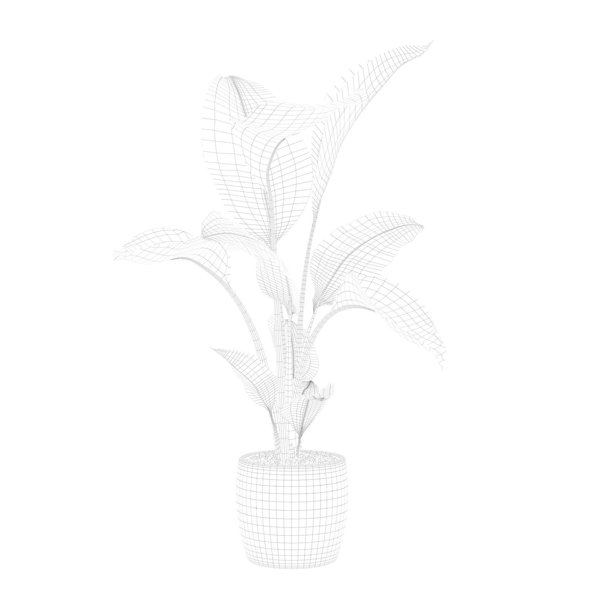 Strelitzia in terrazio pot 3D model_71