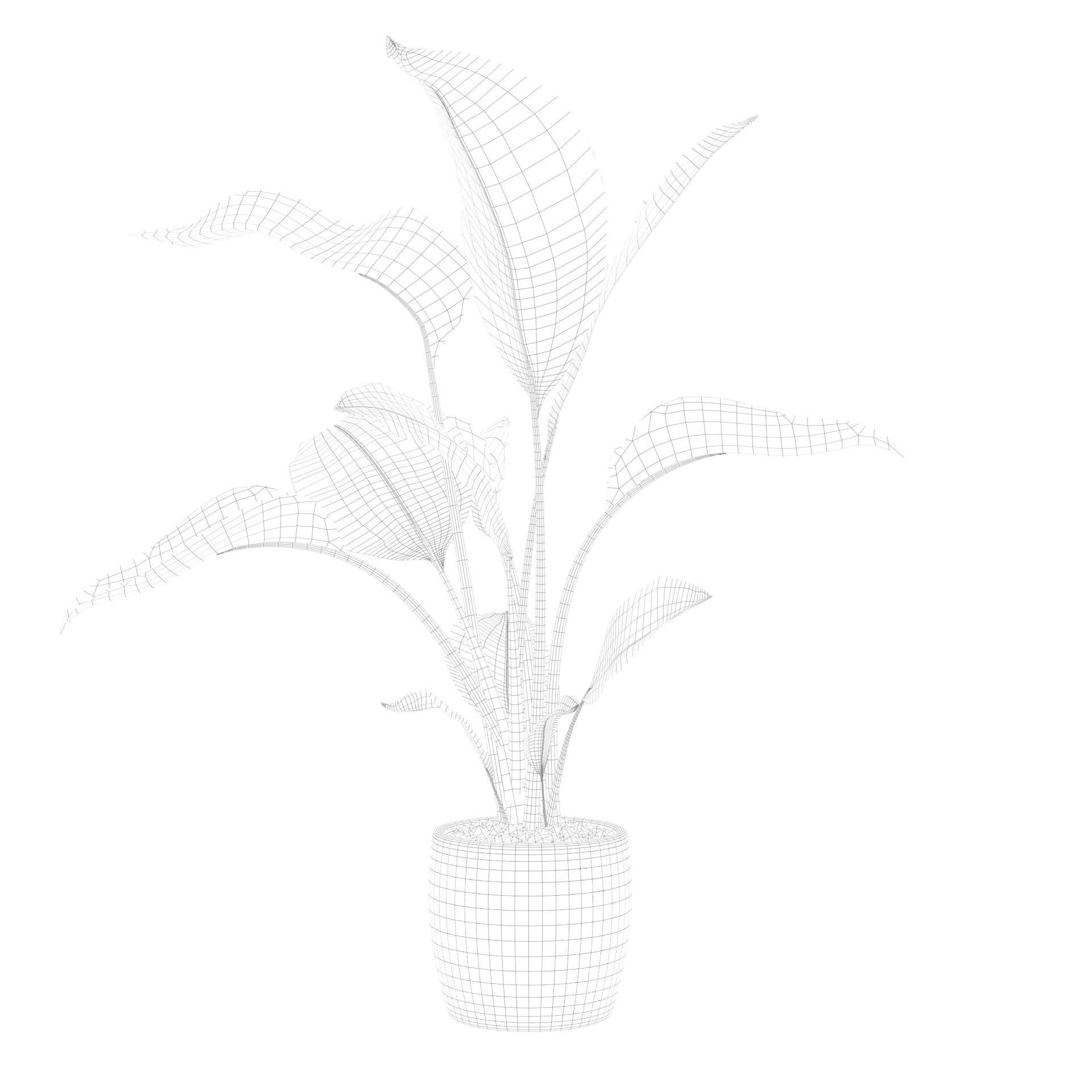 Strelitzia in terrazio pot 3D model_73
