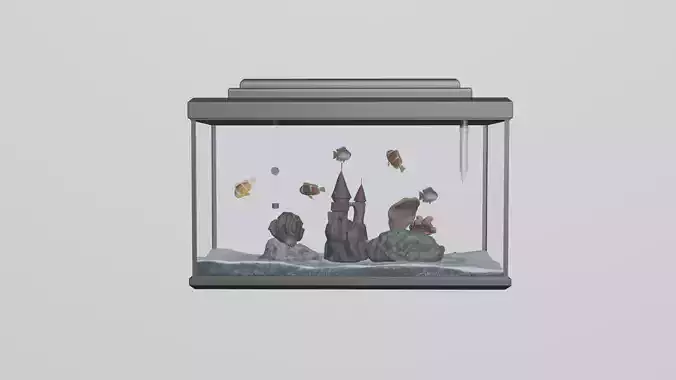 ready-made aquarium with fish