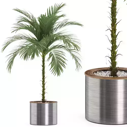 Plants collection 510