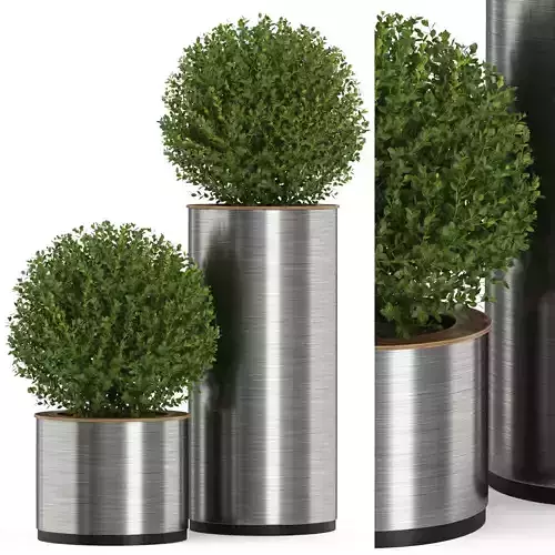 Plants collection 511