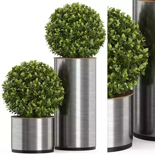 Plants collection 512