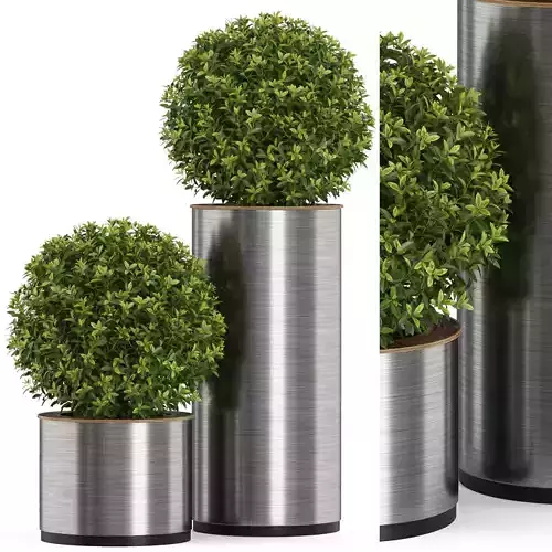 Plants collection 513