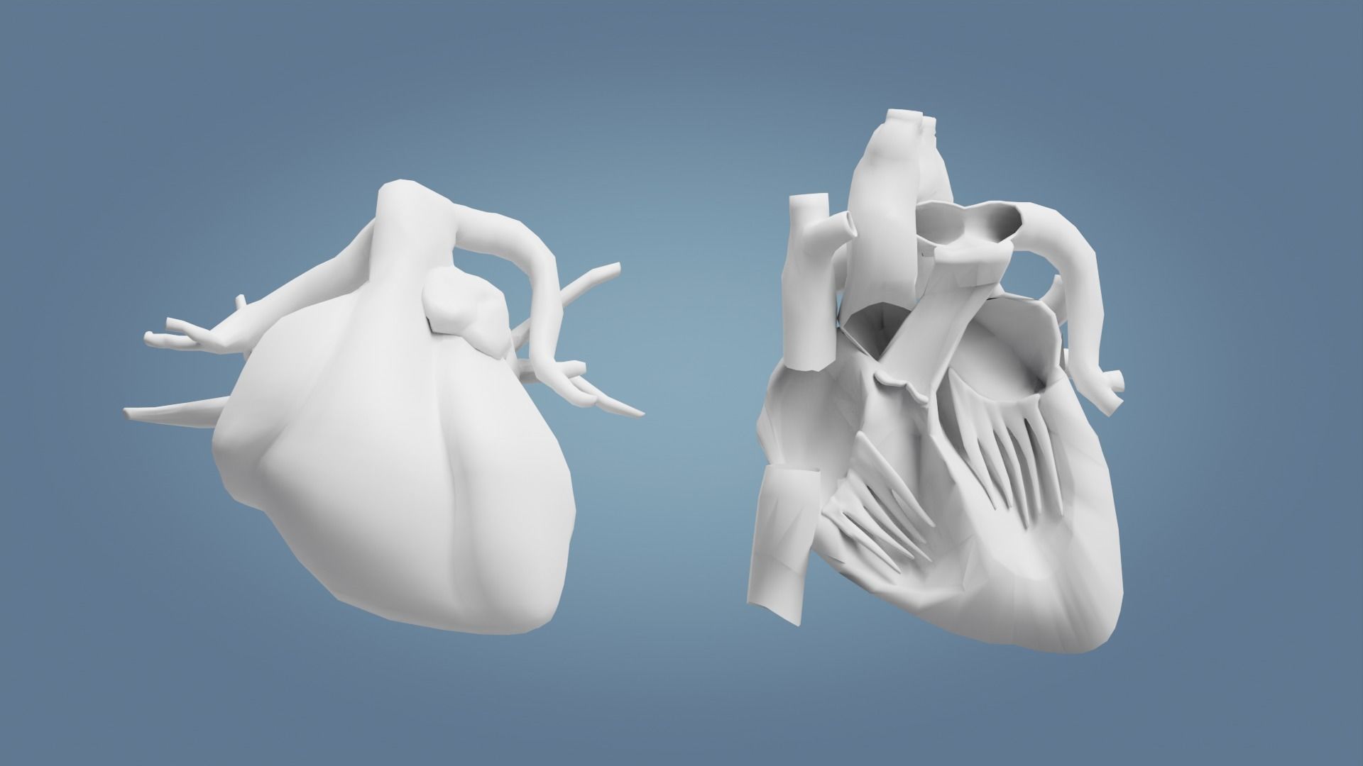 Human Heart with cross section Low-poly 3D model_5