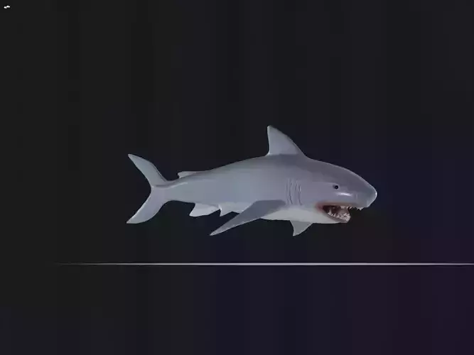 Shark