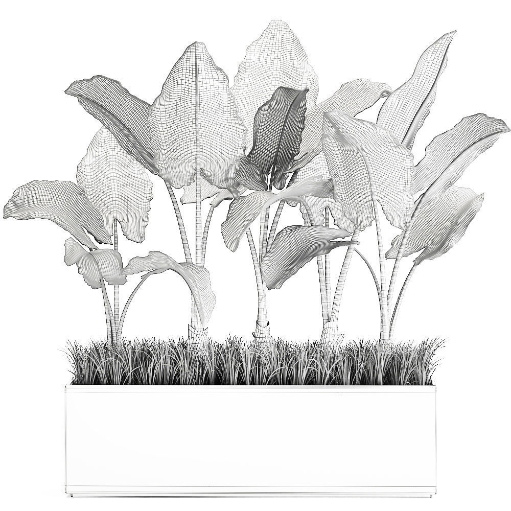 Alocasia in a pot for the interior 951 3D model_5