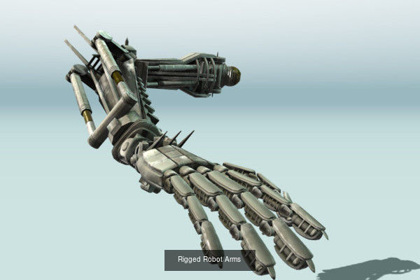 Rigged Arms and Hands 3D Model Collection_12