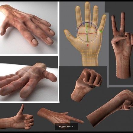 Rigged Arms and Hands 3D Model Collection_9