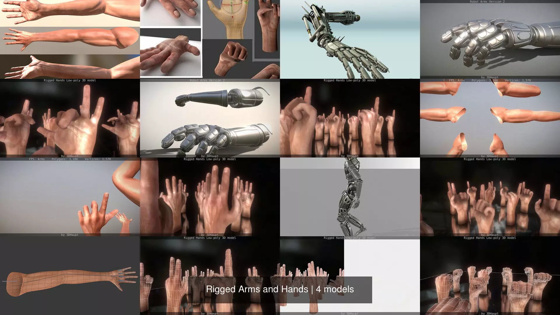 Rigged Arms and Hands 3D Model Collection_0