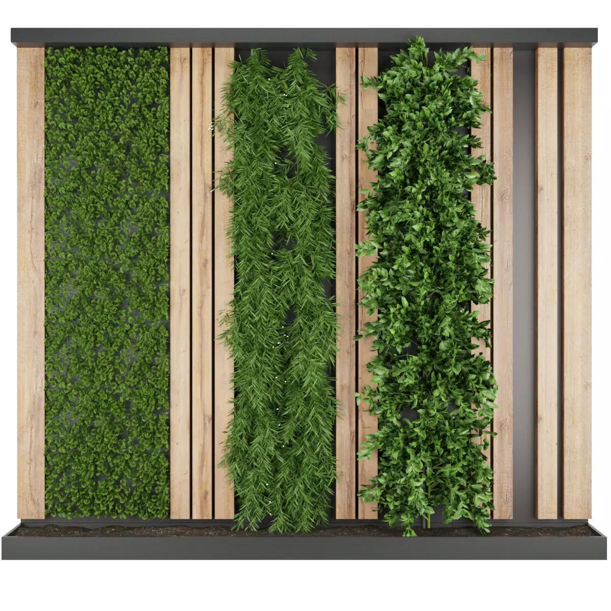 Collection plant vol 172 3D model