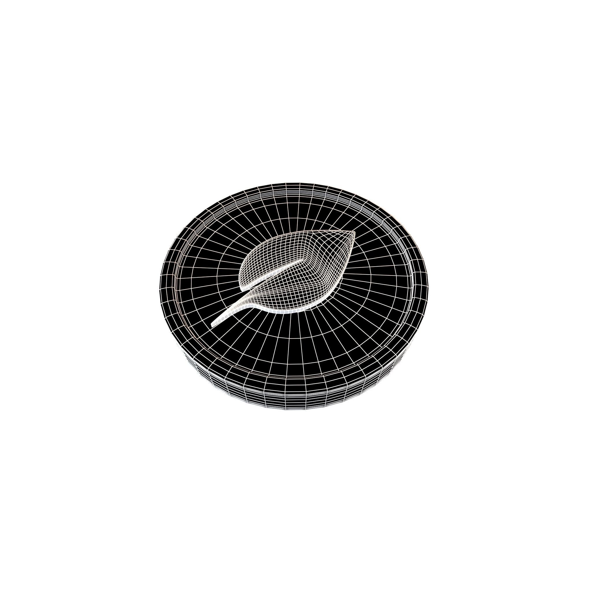 Chia Coin v3 001 Low-poly 3D model_5