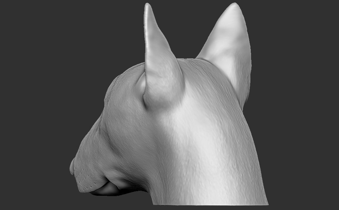 Bull Terrier dog head for 3D printing 3D print model_9