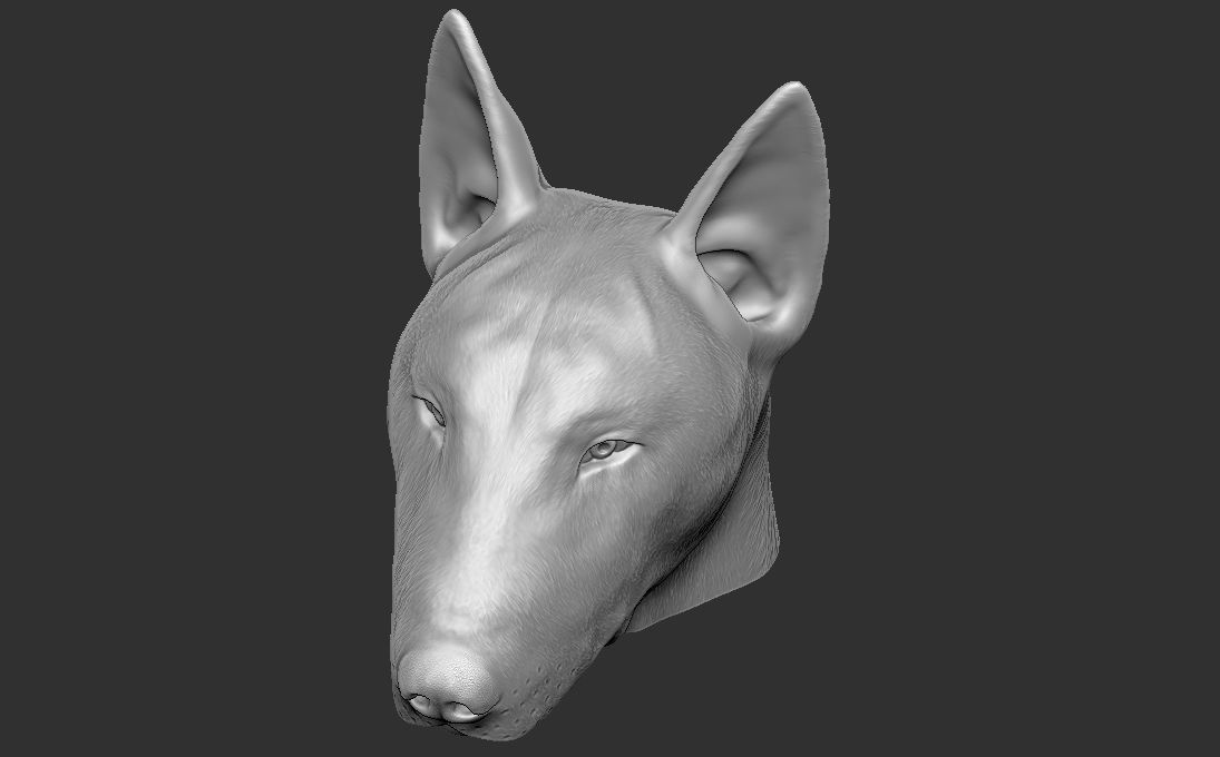 Bull Terrier dog head for 3D printing 3D print model_13