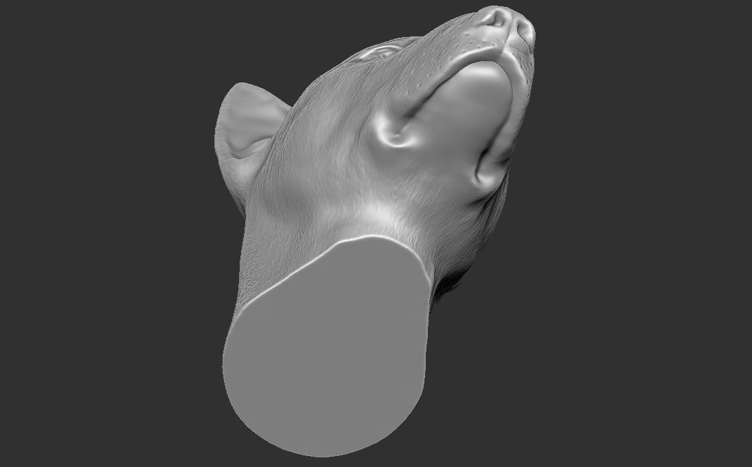 Bull Terrier dog head for 3D printing 3D print model_19