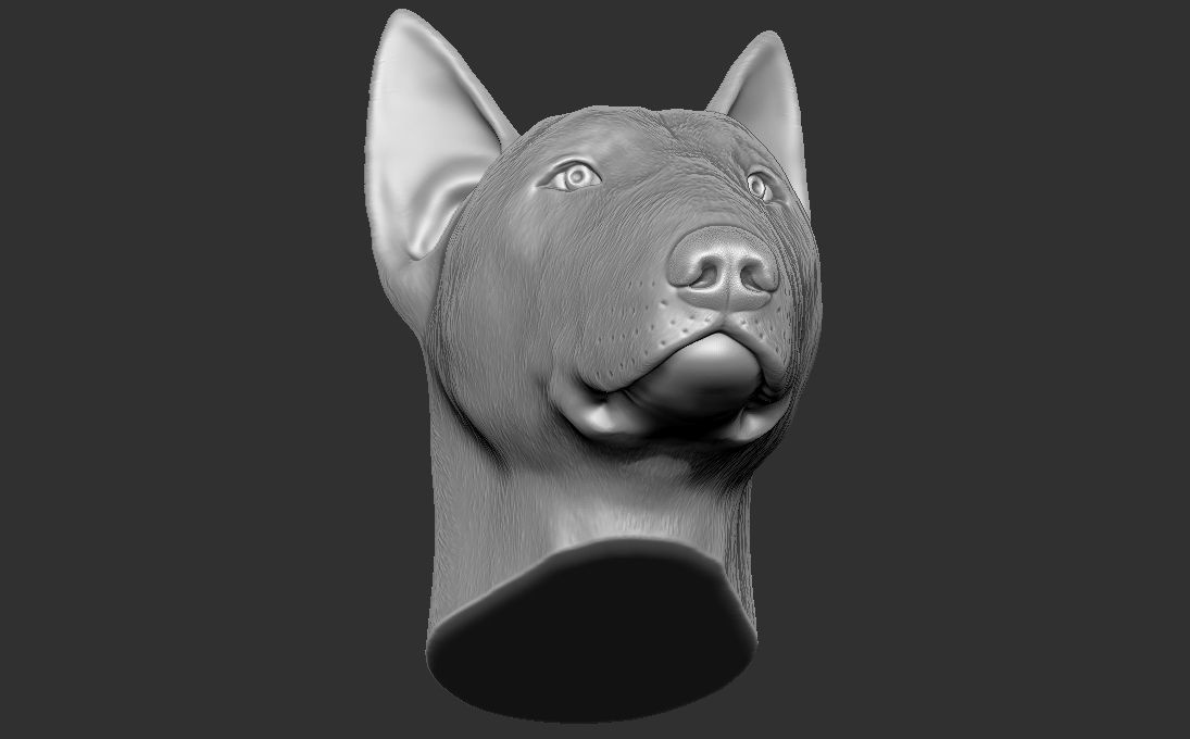 Bull Terrier dog head for 3D printing 3D print model_15