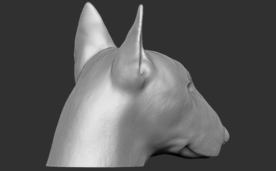 Bull Terrier dog head for 3D printing 3D print model_7