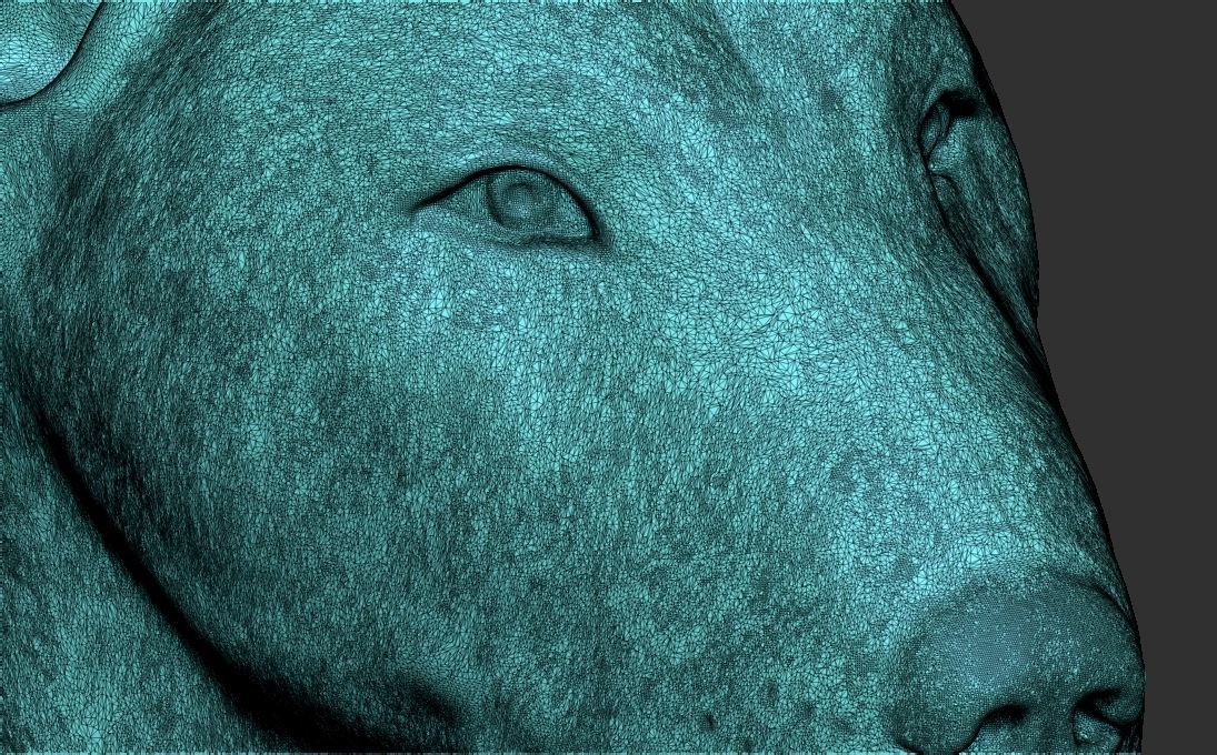 Bull Terrier dog head for 3D printing 3D print model_22