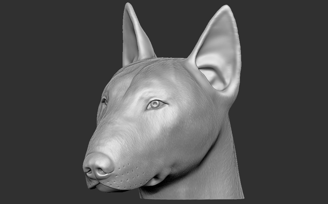 Bull Terrier dog head for 3D printing 3D print model_12