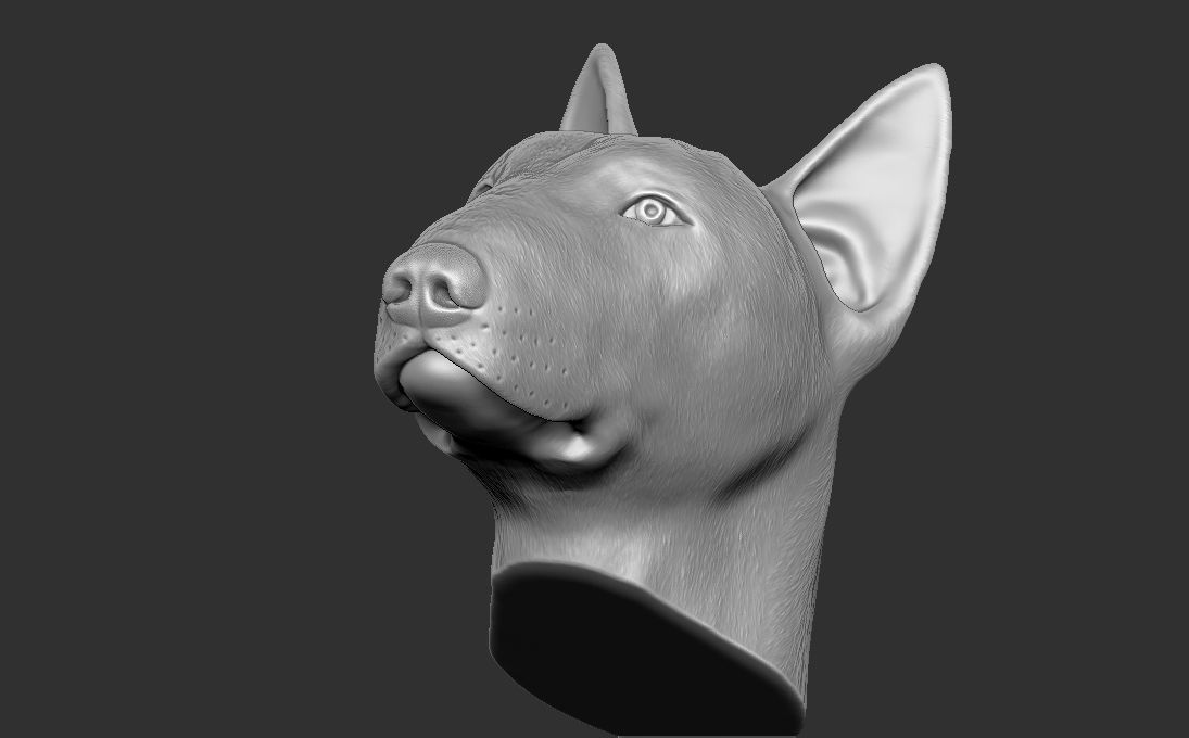 Bull Terrier dog head for 3D printing 3D print model_16