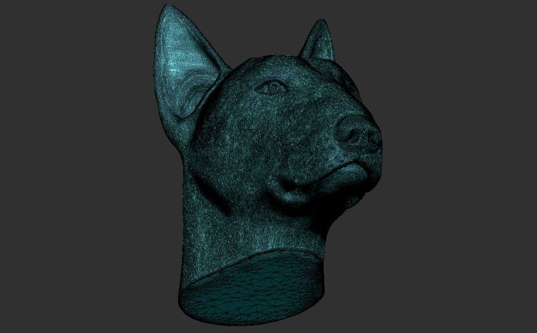 Bull Terrier dog head for 3D printing 3D print model_21