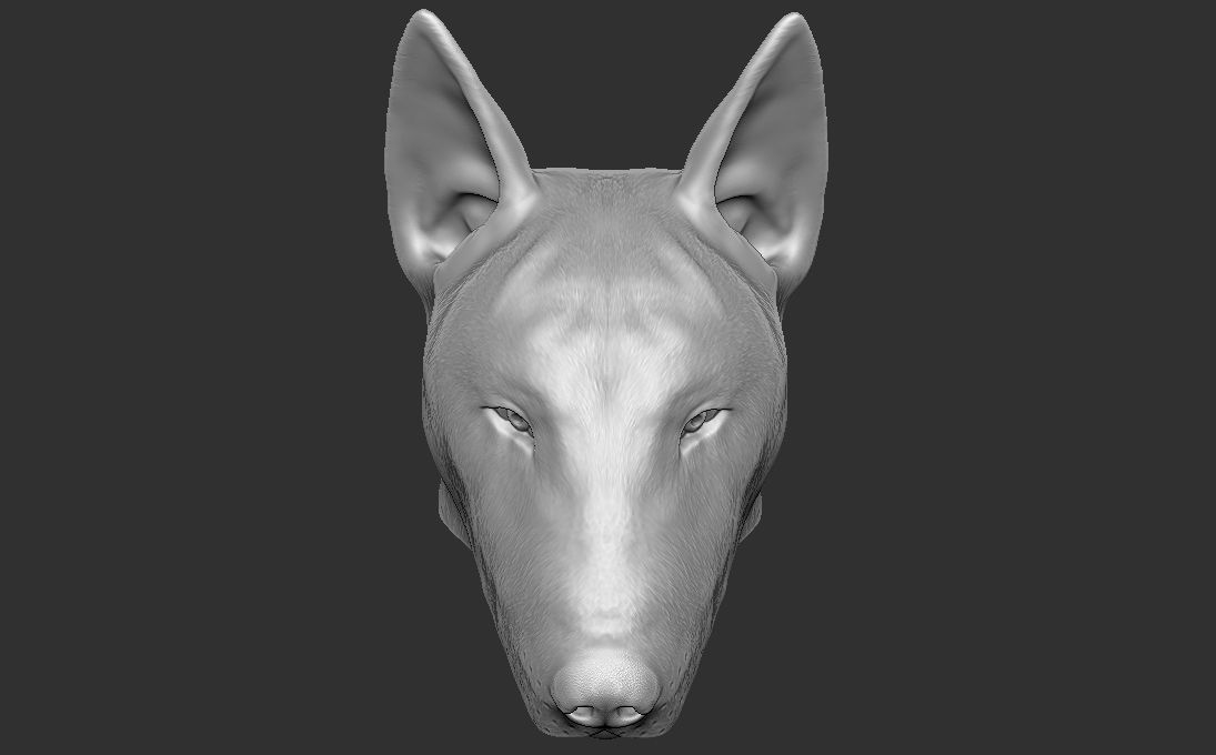 Bull Terrier dog head for 3D printing 3D print model_14