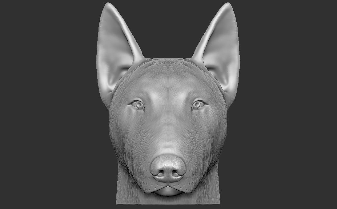 Bull Terrier dog head for 3D printing 3D print model_2
