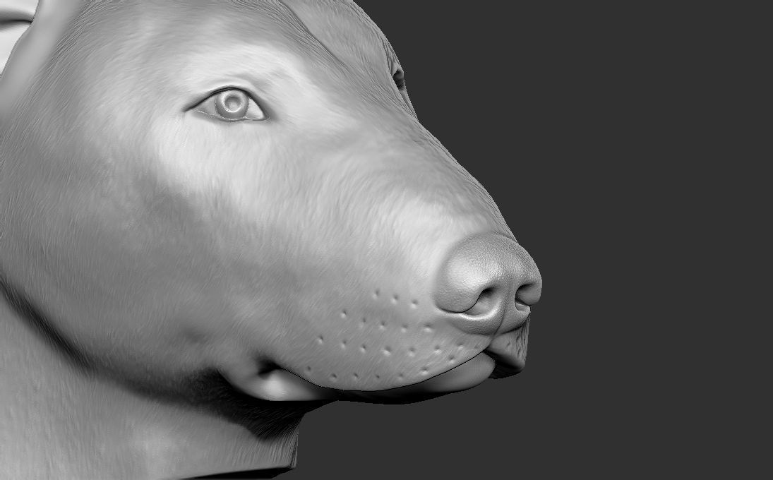Bull Terrier dog head for 3D printing 3D print model_18