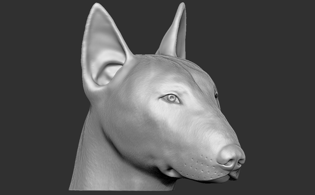 Bull Terrier dog head for 3D printing 3D print model_4