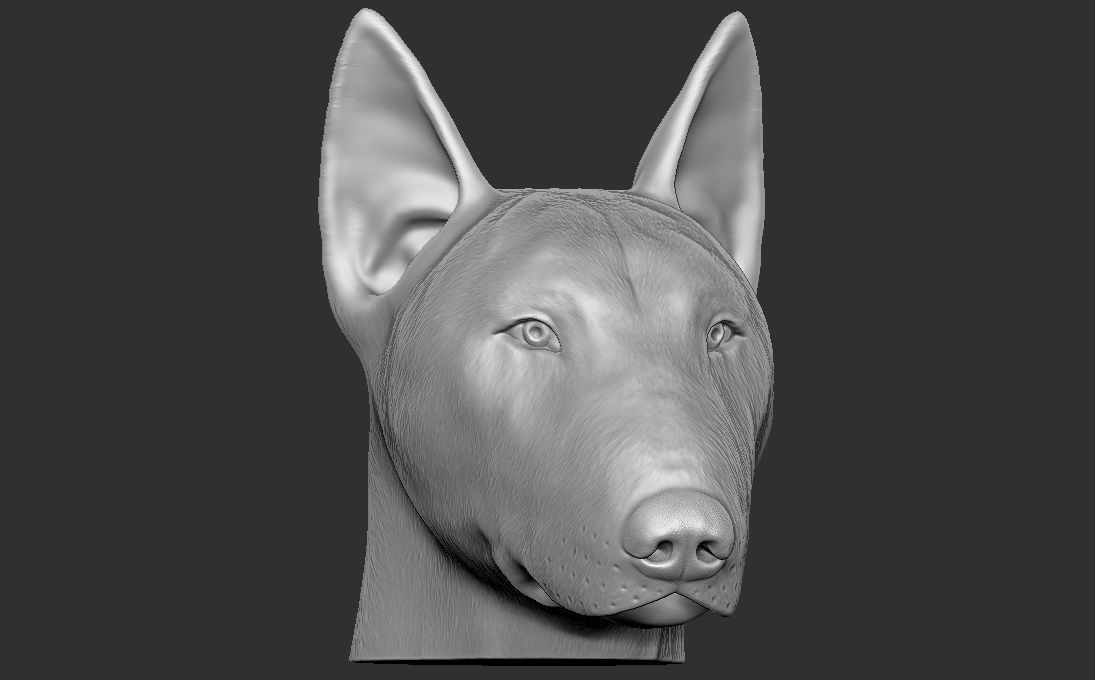 Bull Terrier dog head for 3D printing 3D print model_3