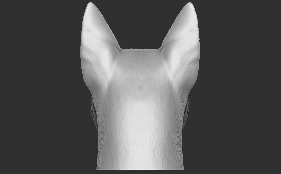Bull Terrier dog head for 3D printing 3D print model_8