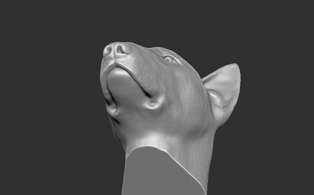 Bull Terrier dog head for 3D printing 3D print model_17