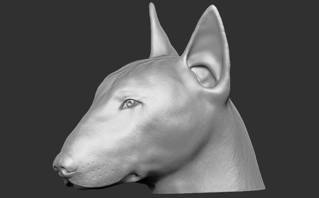Bull Terrier dog head for 3D printing 3D print model_0