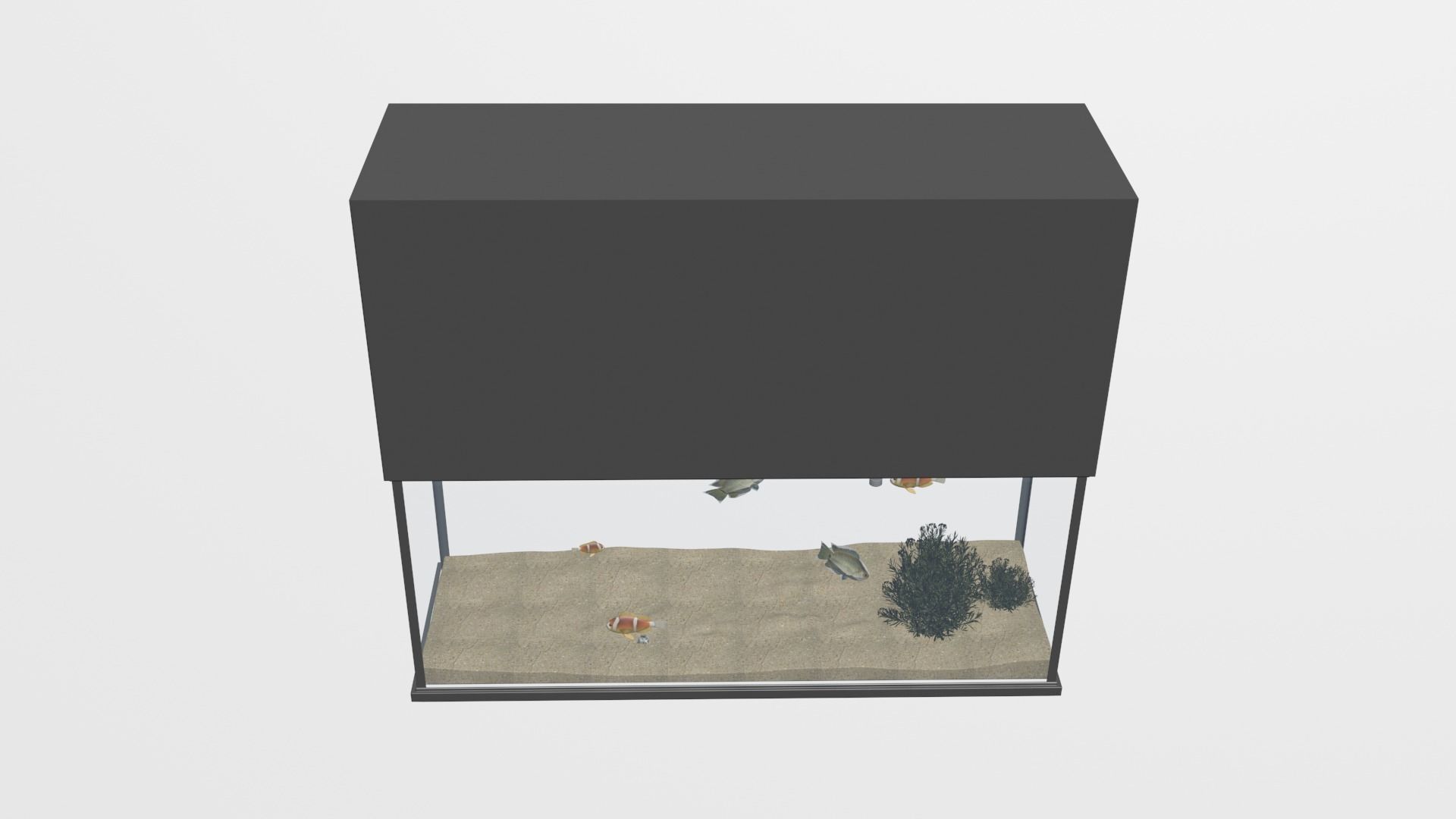 aquarium with fish 3D model Low-poly 3D model_2
