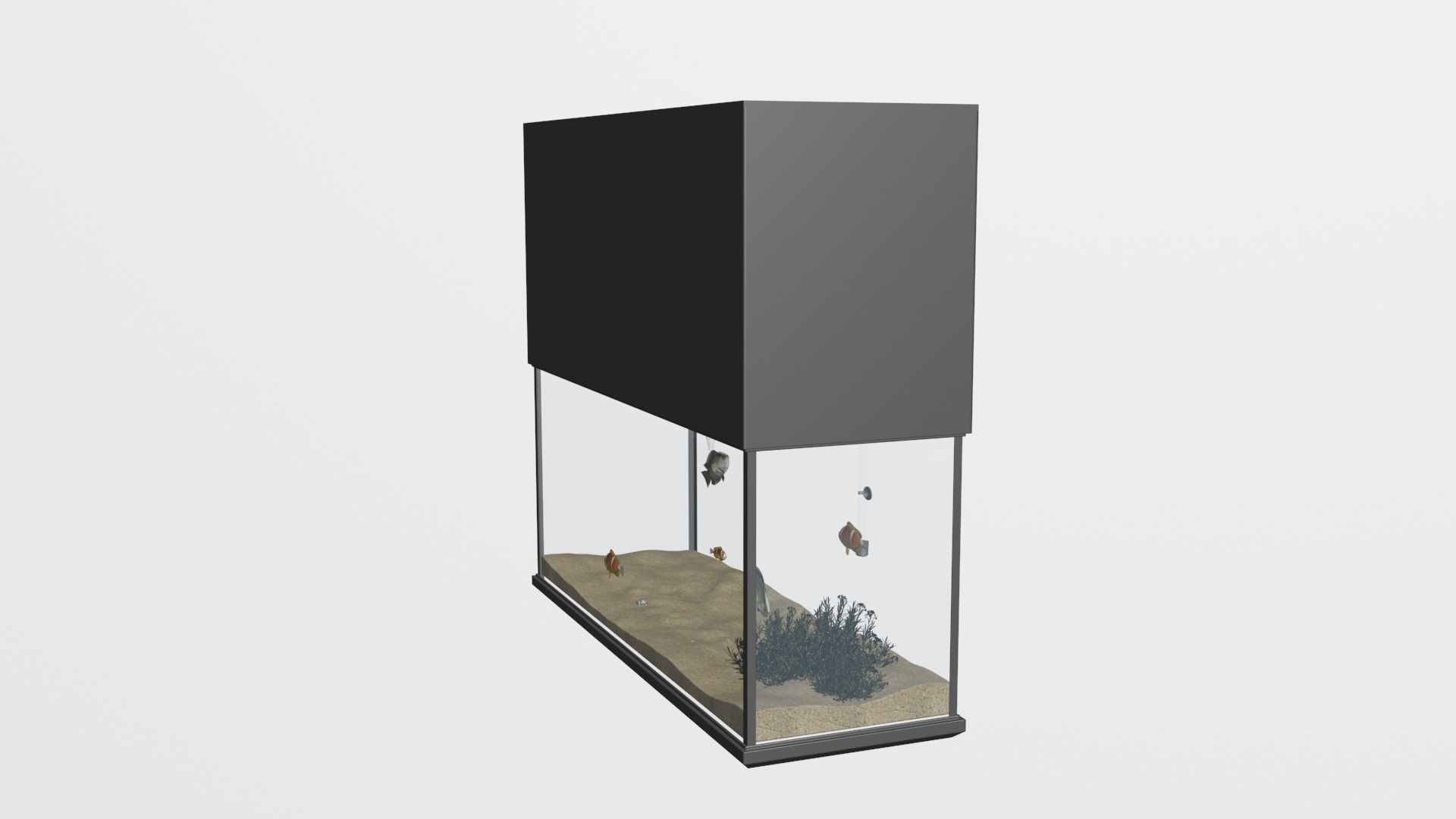 aquarium with fish 3D model Low-poly 3D model_1