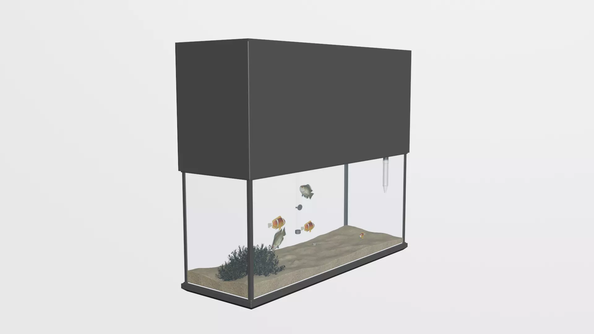 aquarium with fish 3D model Low-poly 3D model_0
