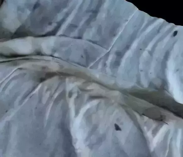 Draped Sheet 3D Model