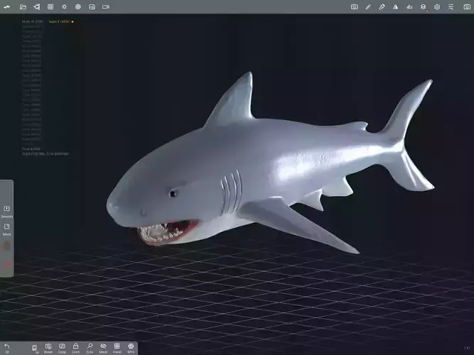Shark